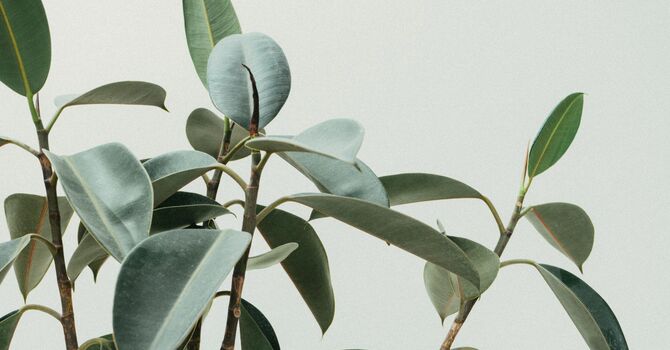 What Is Non-Surgical Weight Loss? A Complete Guide for Safe and Lasting Results