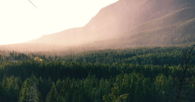 What Is Non-Surgical Weight Loss? A Complete Guide for Safe and Lasting Results